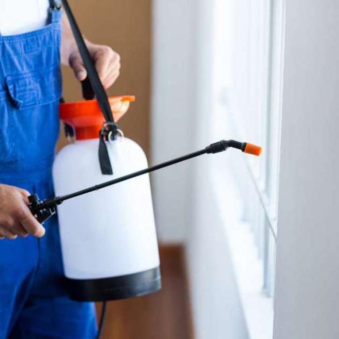 Town and Country Pest Solutions, LLC - Kissimmee, FL