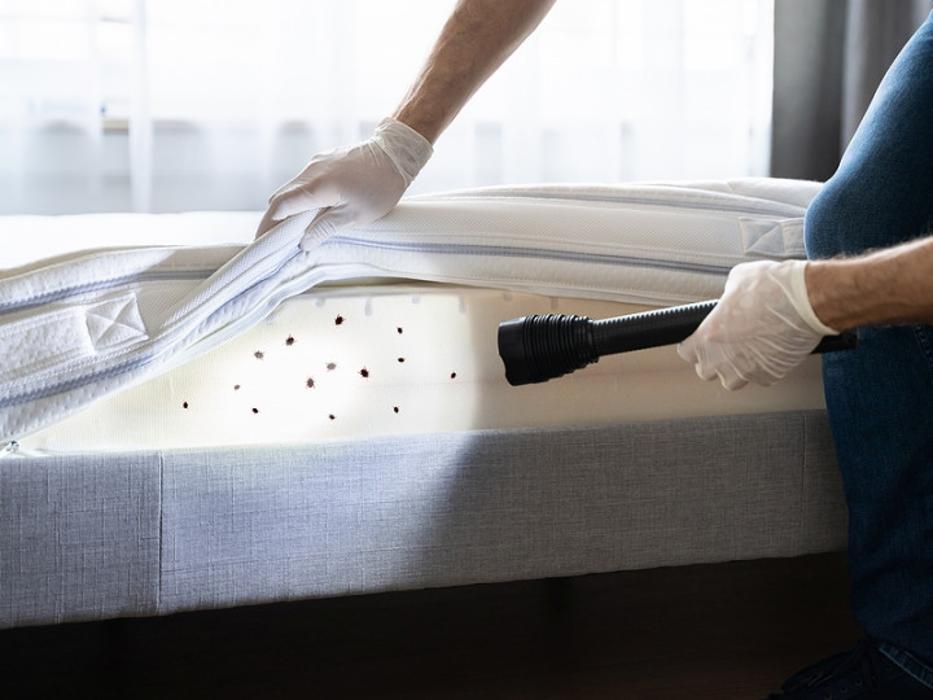 Pest Management Services, Inc. - Riverdale, IL