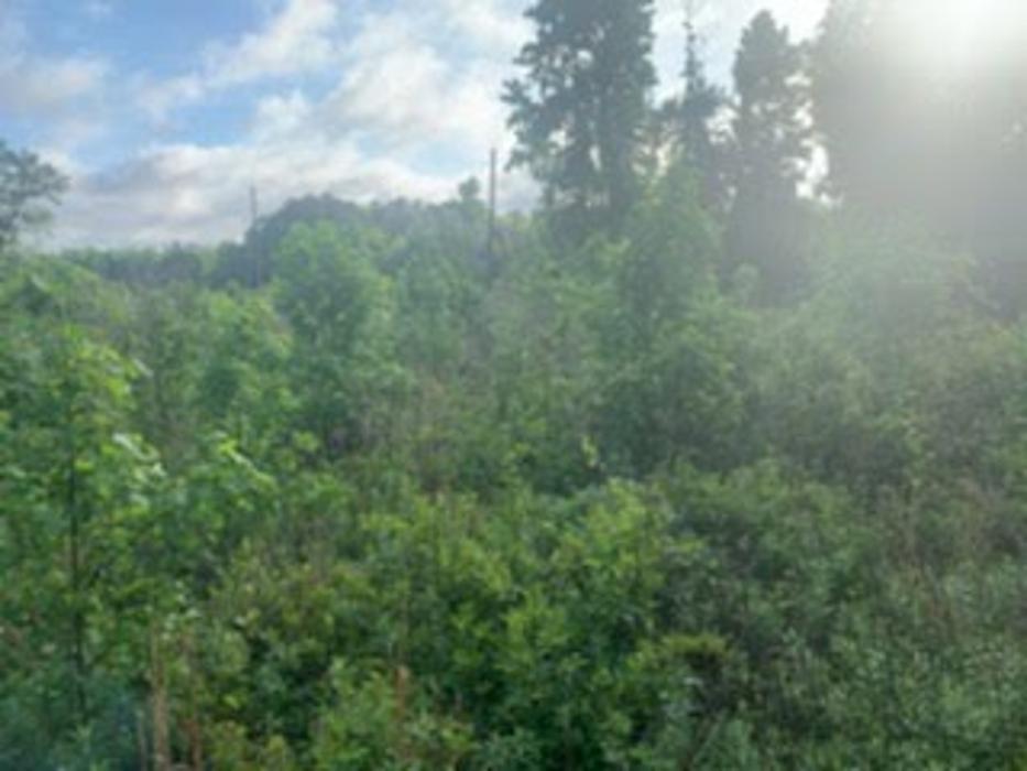 Southeast Septic Systems LLC - Pamplico, SC