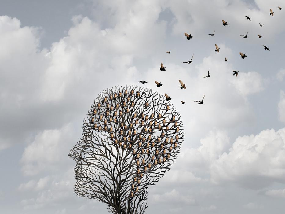 Angels Home Care LLC - Casper, WY