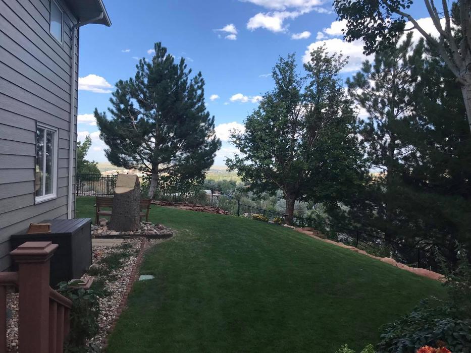 Capshaw Tree Service - Casper, WY