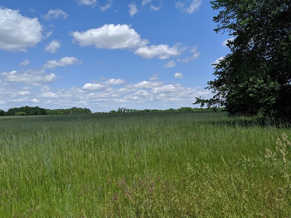 Cream Ridge Golf Course - Cream Ridge, NJ