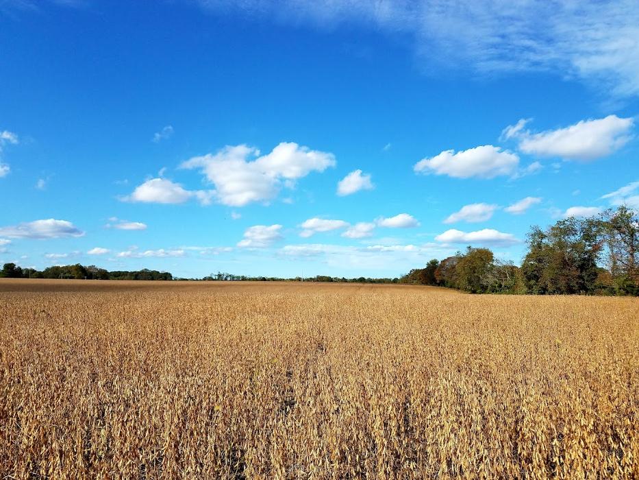 Cream Ridge Golf Course - Cream Ridge, NJ