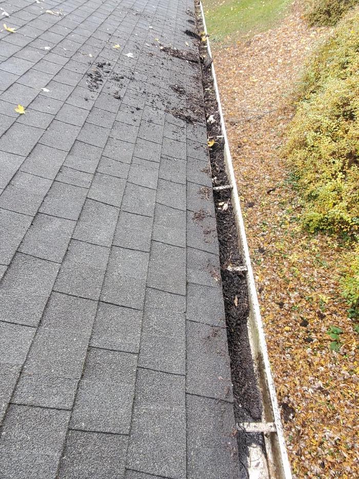 Four Seasons Yard Management - Dubuque, IA