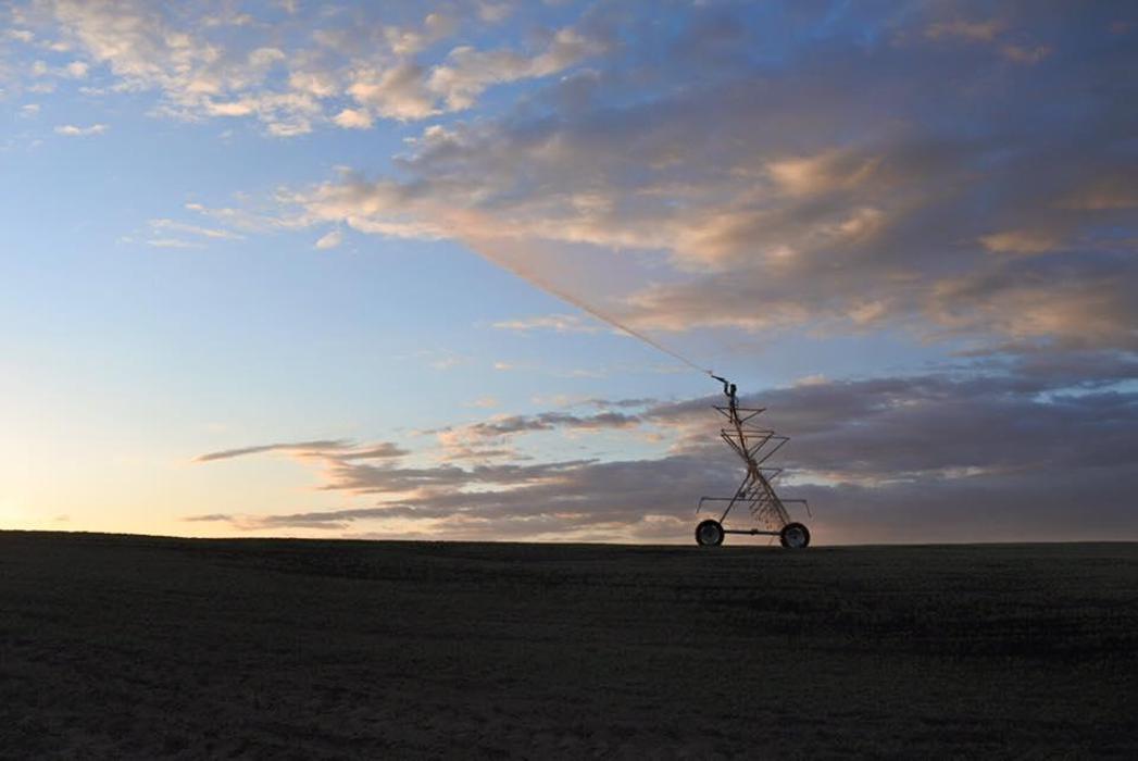 Skone Irrigation Inc. - Pasco, WA