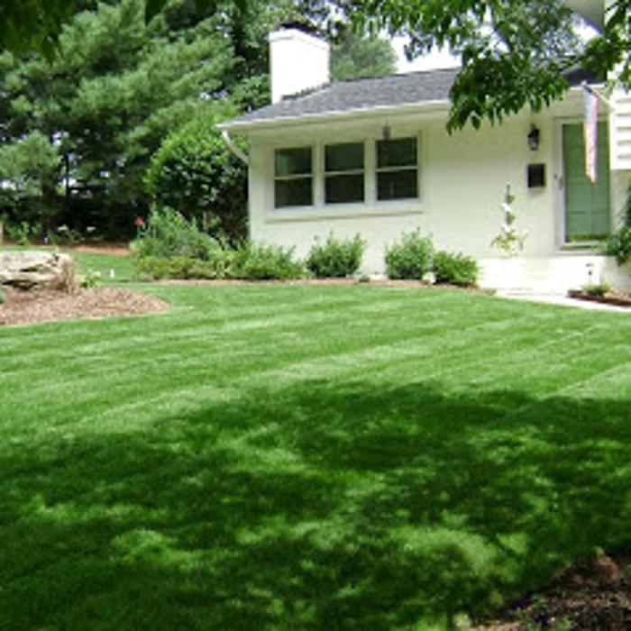 Lawngevity Landscaping & Maintenance, LLC - Charlotte, NC