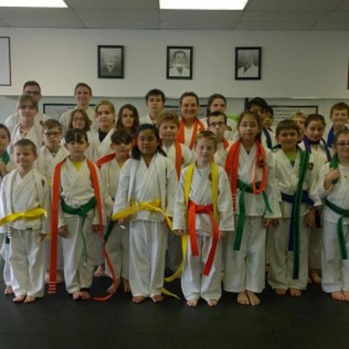College of Martial Arts - Sterling Heights, MI