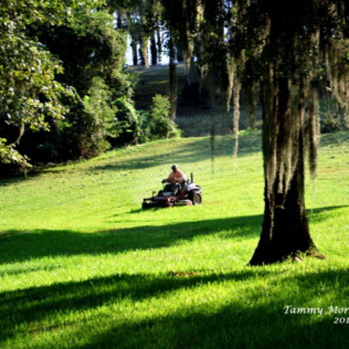 Harris Lawn Care - Bossier City, LA