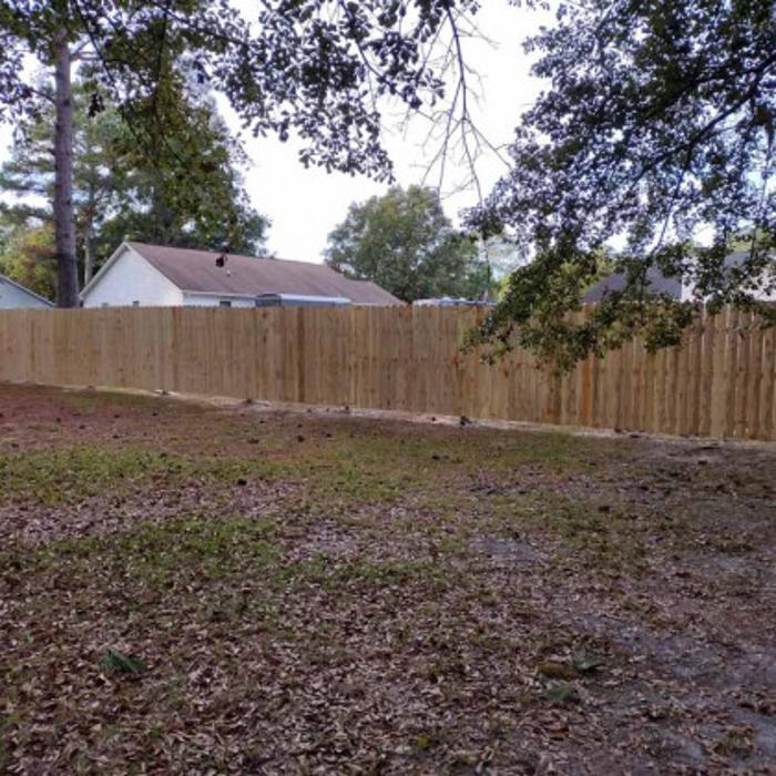 Zini & Son LLC - Maysville, NC