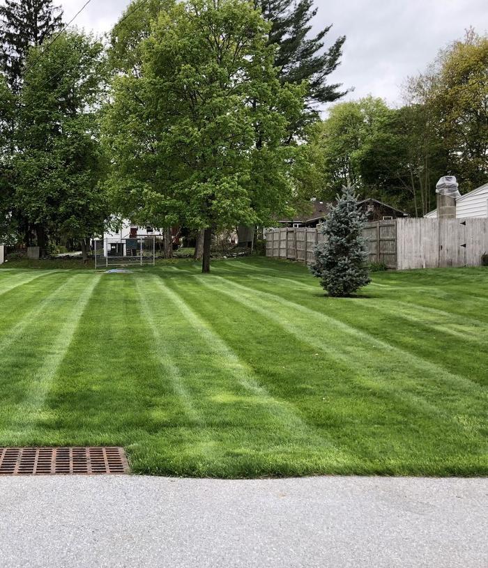 Carmine's Lawn & Landscaping LLC - Poughkeepsie, NY