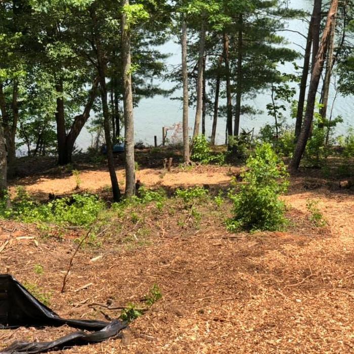 Tree Tech WNC - Morganton, NC