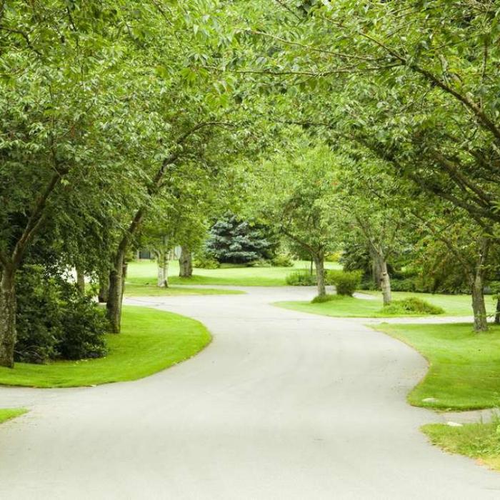 Tree Tech WNC - Morganton, NC