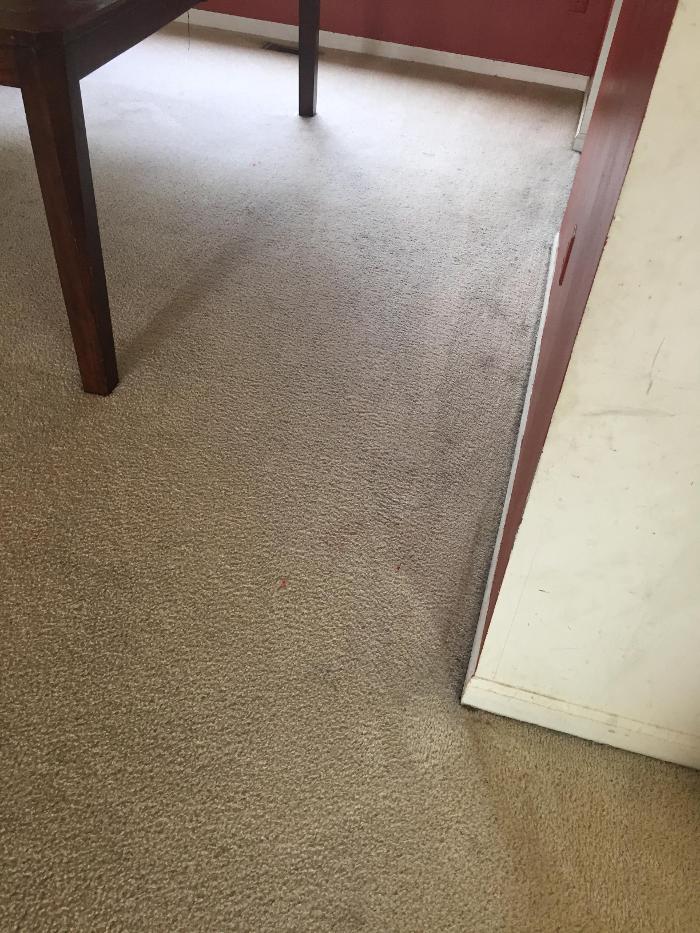 Classic Carpet Care Inc. - Ypsilanti, MI