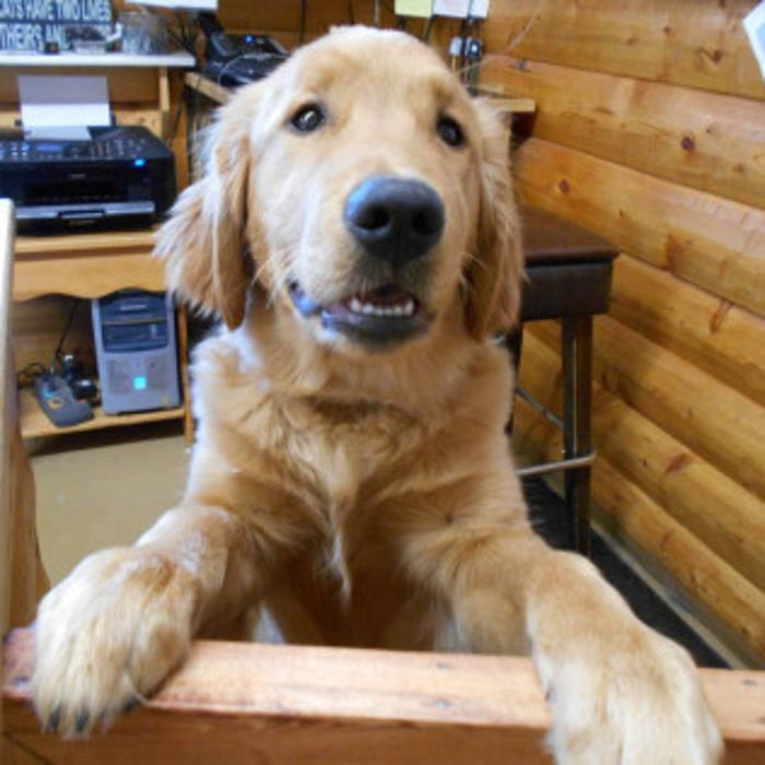 Kennelz and Bitz - Moose Lake, MN