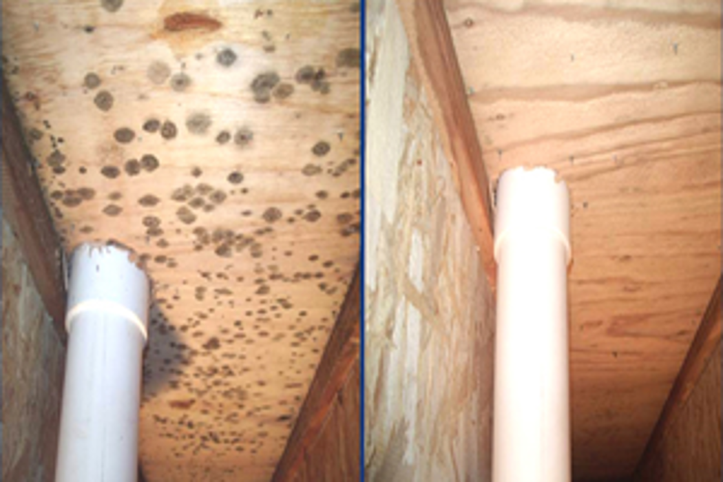 Renew Restoration LLC - Ringwood, NJ