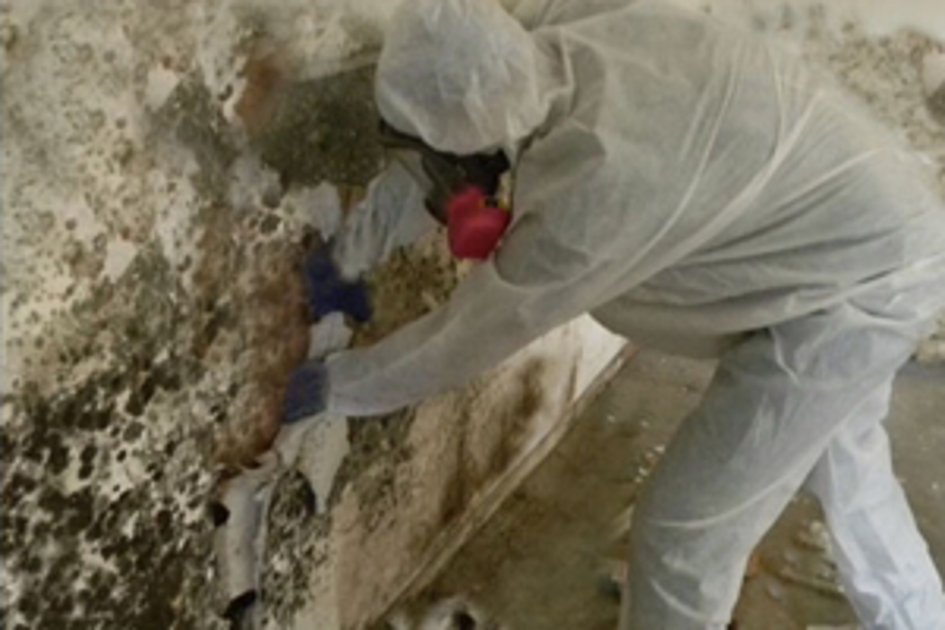 Renew Restoration LLC - Ringwood, NJ