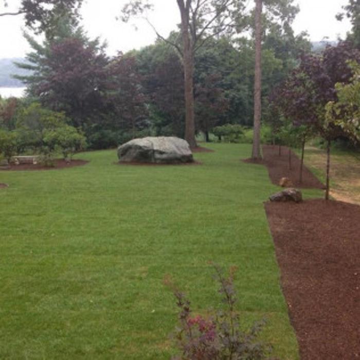 Osorio Tree Service - Lagrangeville, NY