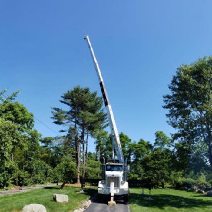 Osorio Tree Service - Lagrangeville, NY