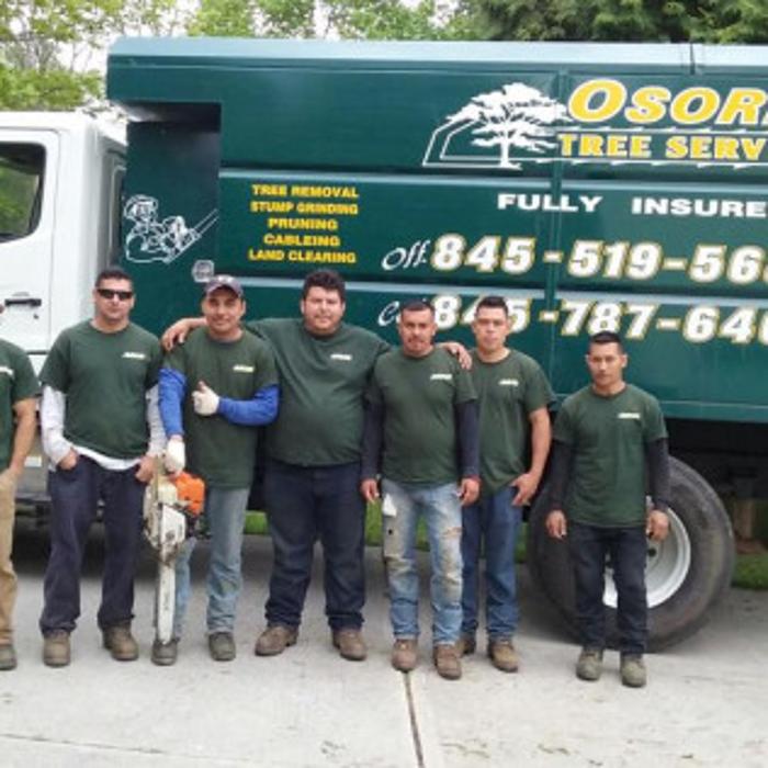 Osorio Tree Service - Lagrangeville, NY