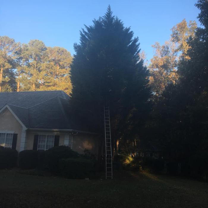 Lumberjack Joe's Tree Service - Newnan, GA