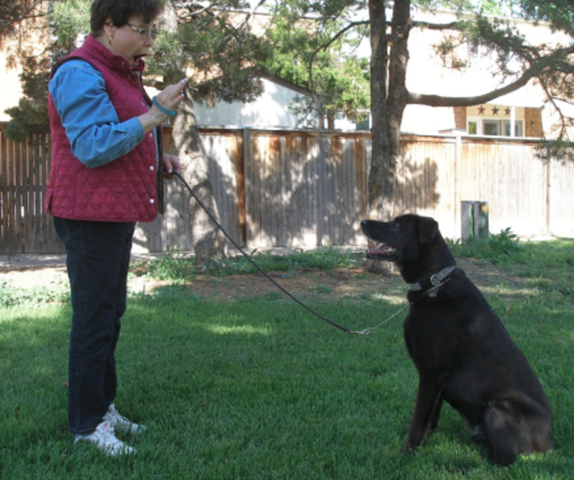 Capitol Area Dog Training and Behavior Consulting - Germantown, MD