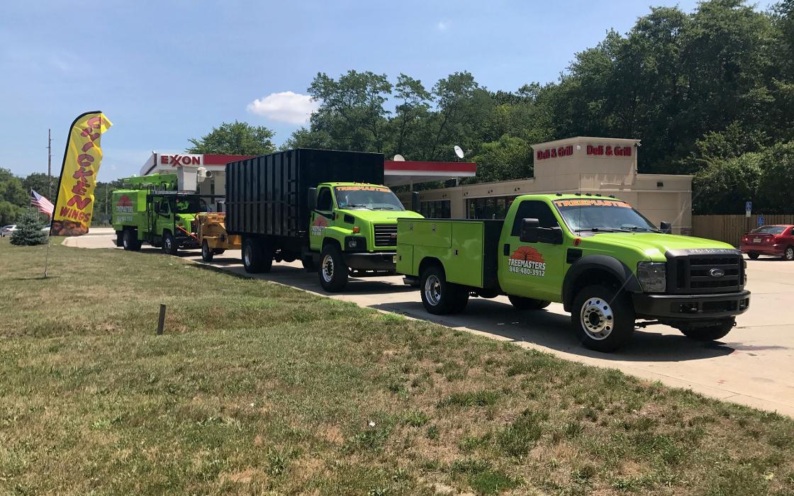 TreeMasters LLC - Brick, NJ