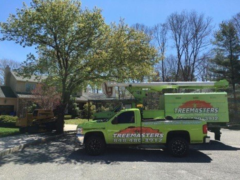 TreeMasters LLC - Brick, NJ