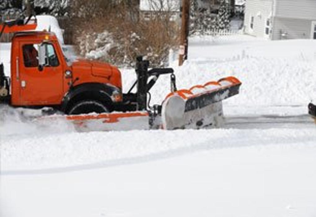 TreeMasters LLC - Brick, NJ