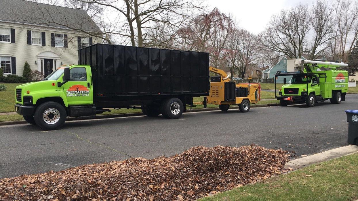 TreeMasters LLC - Brick, NJ