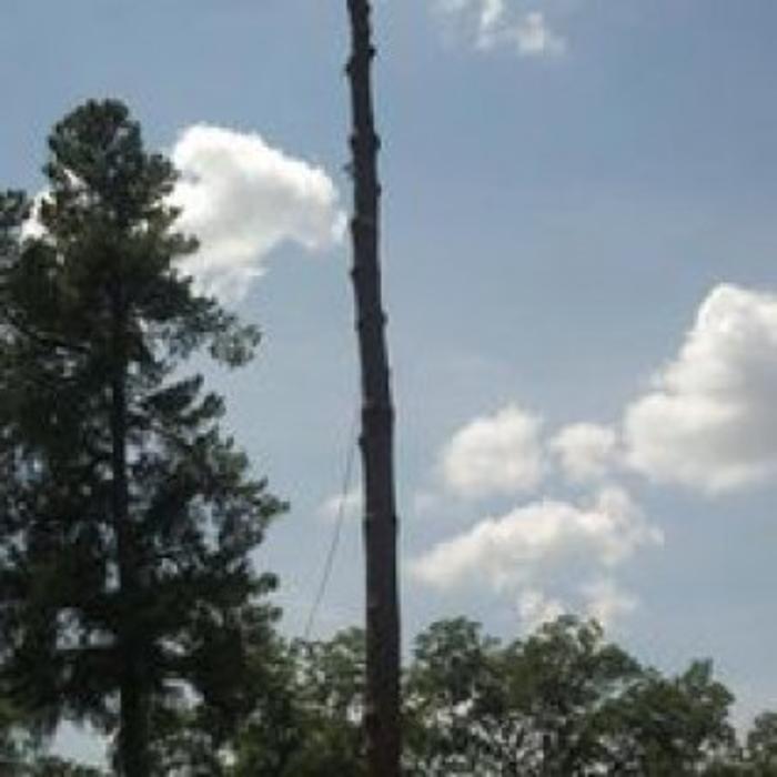 El Dorado Tree Service - El Dorado, AR