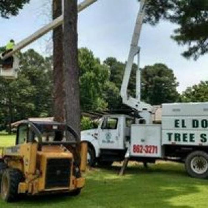El Dorado Tree Service - El Dorado, AR