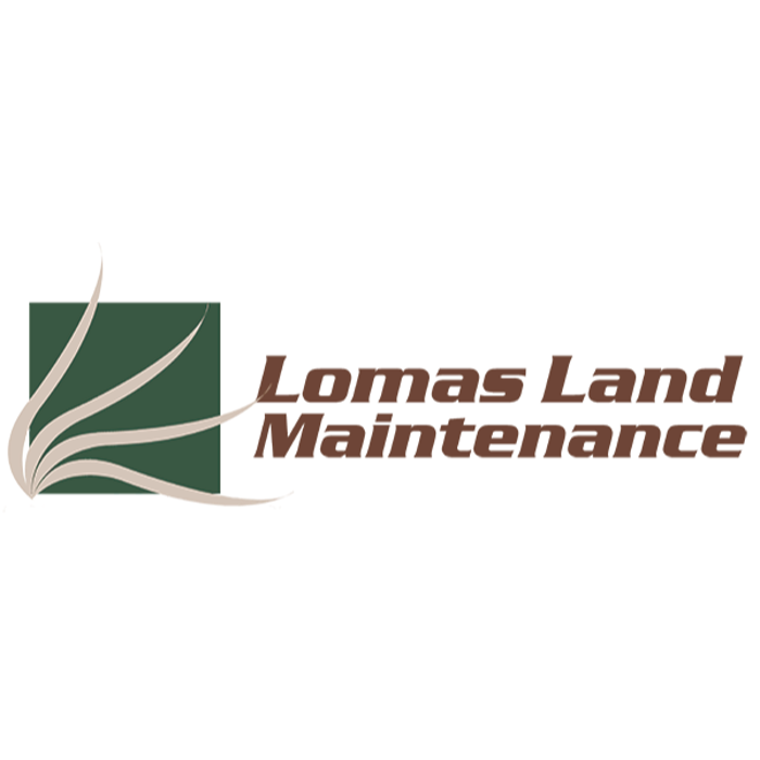 Lomas Land Maintenance - Hutto, TX