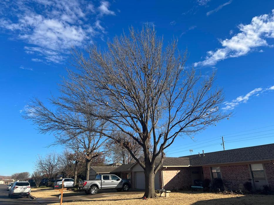 Starting Over Lawn & Tree Service LLC - Lawton, OK