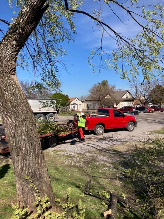 Starting Over Lawn & Tree Service LLC - Lawton, OK