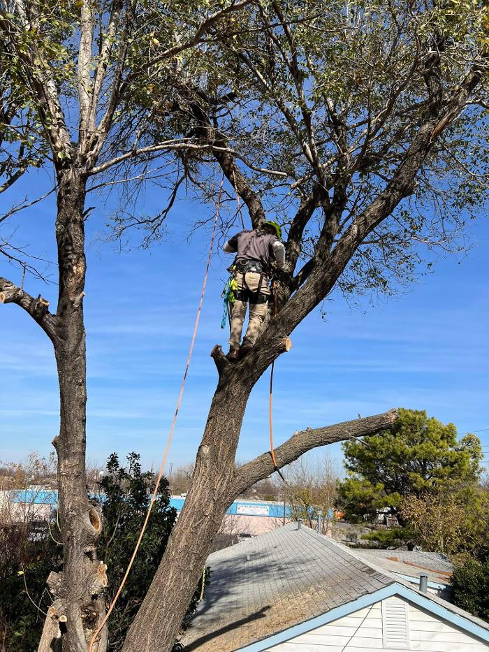 Starting Over Lawn & Tree Service LLC - Lawton, OK