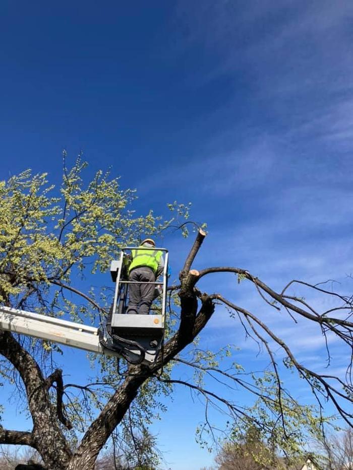 Starting Over Lawn & Tree Service LLC - Lawton, OK