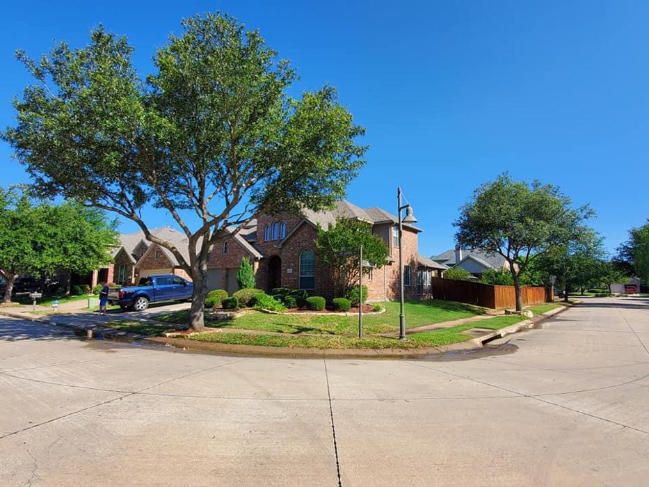 Collum Tree Experts - Little Elm, TX