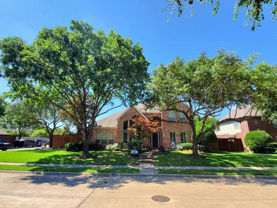Collum Tree Experts - Little Elm, TX