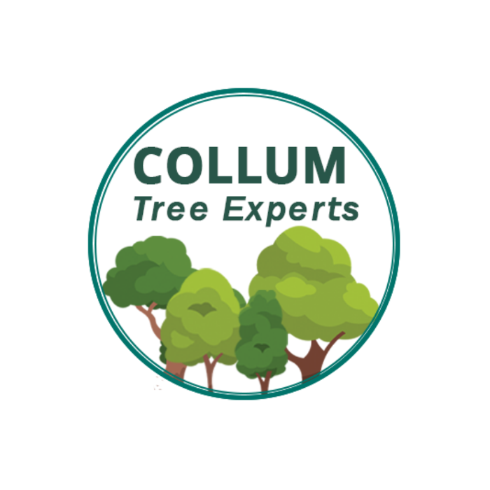 Collum Tree Experts - Little Elm, TX
