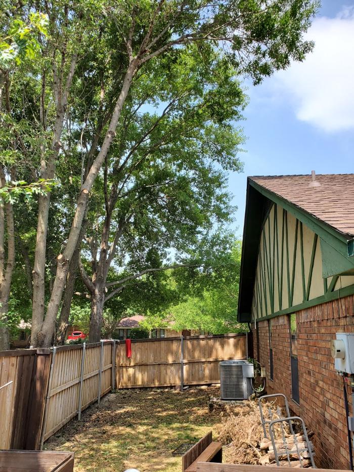 Collum Tree Experts - Little Elm, TX