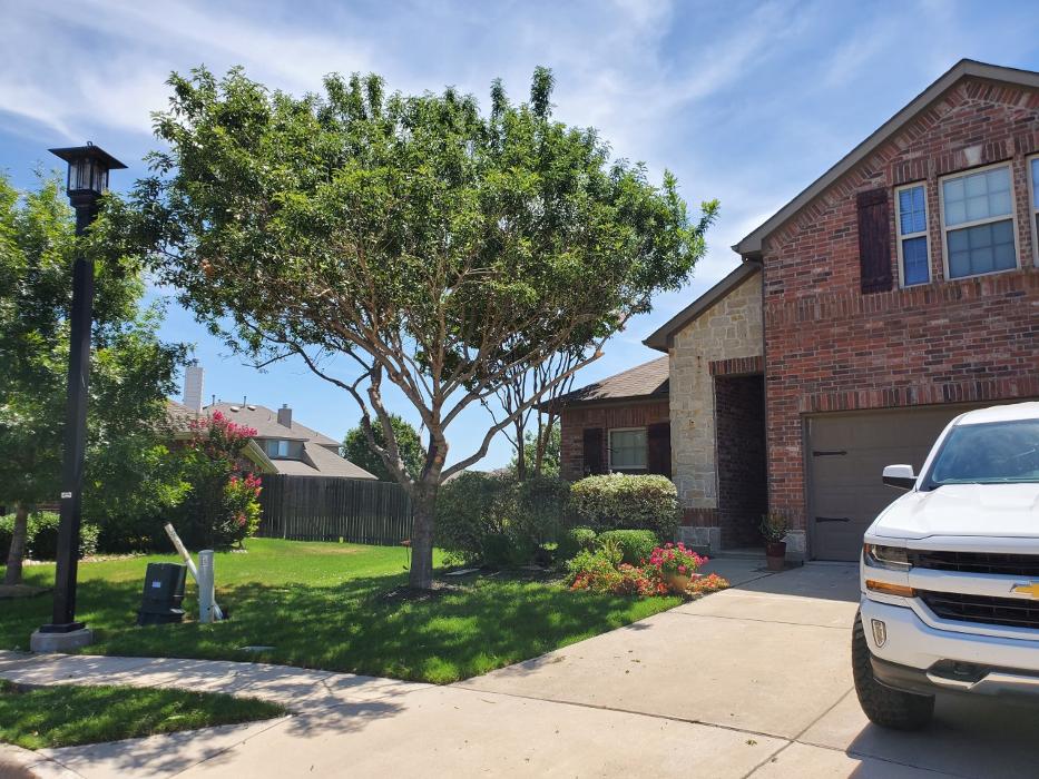 Collum Tree Experts - Little Elm, TX
