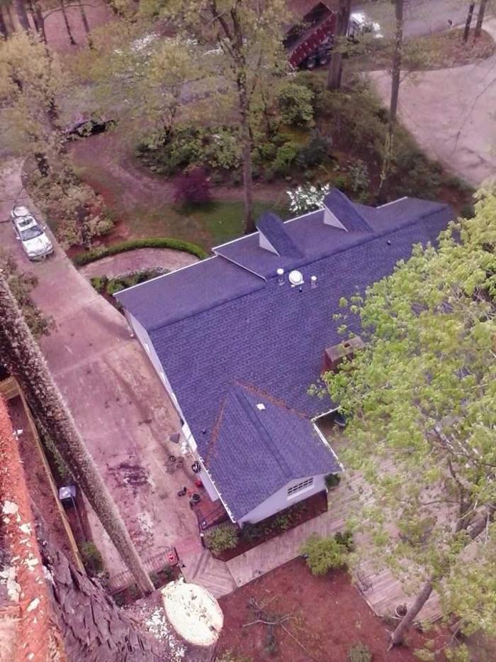 True Man's Tree Service - Morley, MI