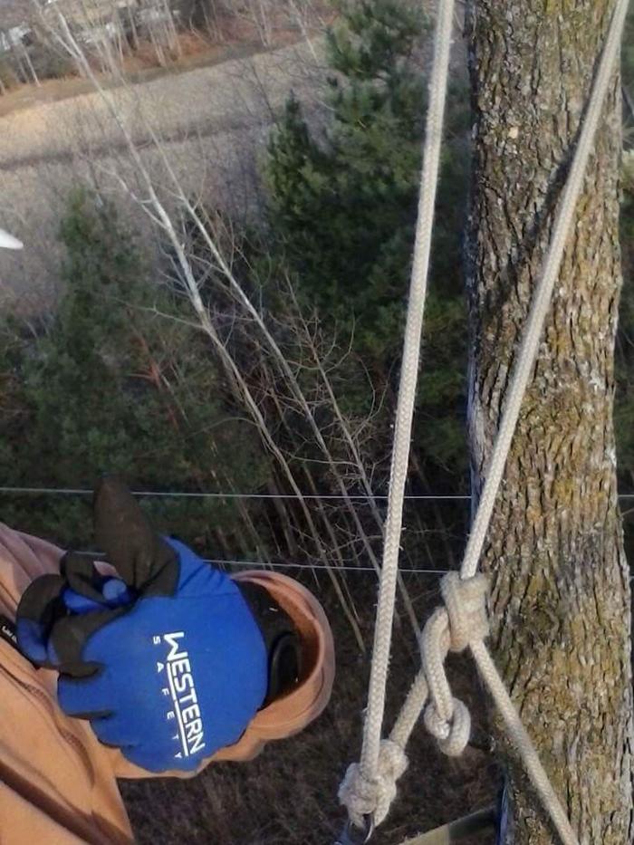 True Man's Tree Service - Morley, MI