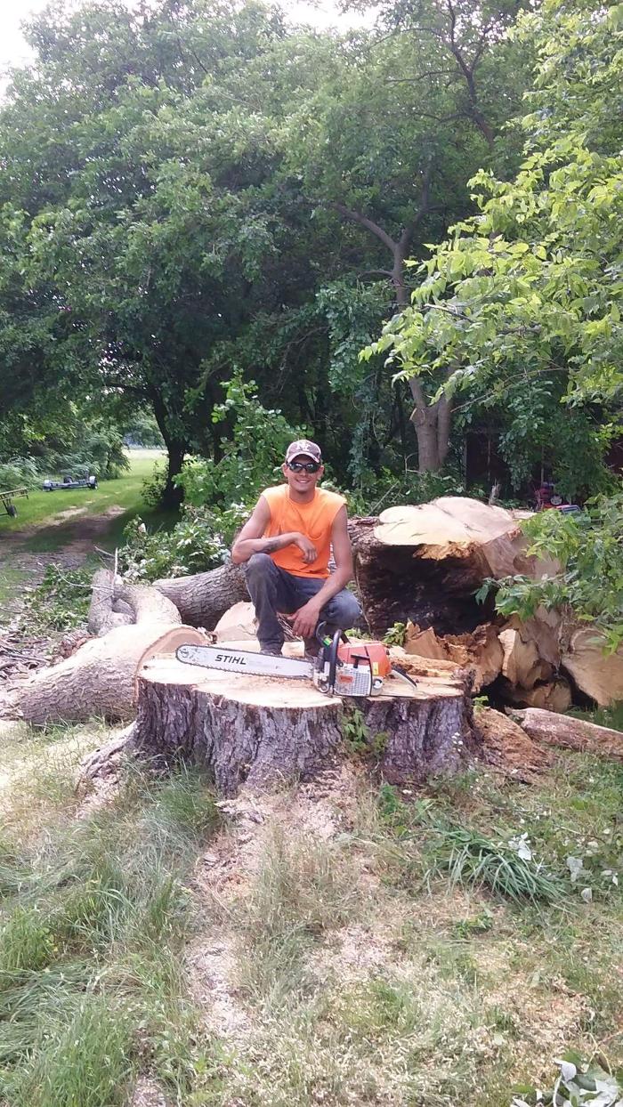 True Man's Tree Service - Morley, MI