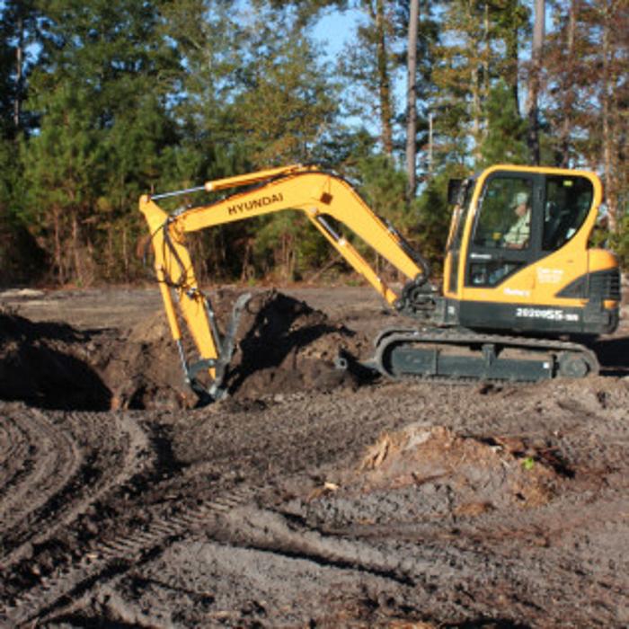 Palmetto Clear Cut - Marion, SC