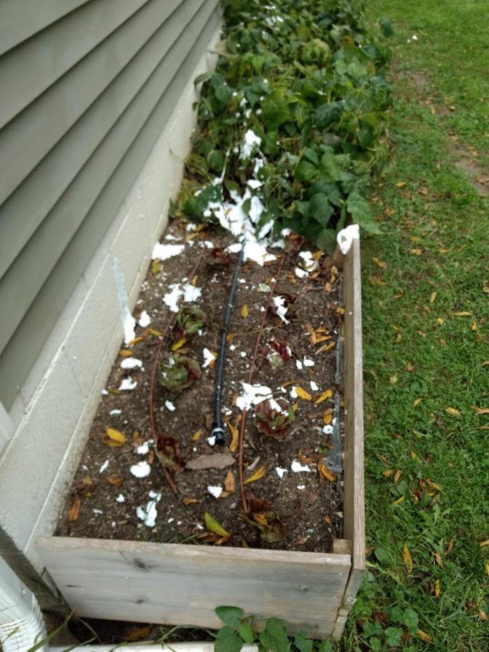 Accurate Insulation - Milford, MI