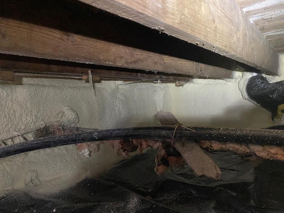 Accurate Insulation - Milford, MI