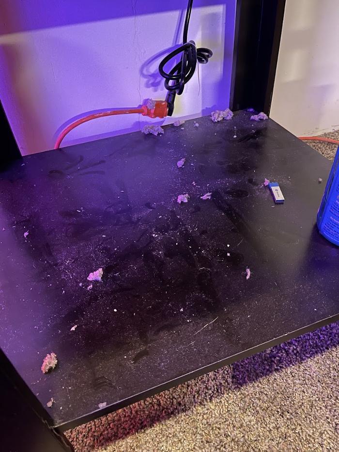 Accurate Insulation - Milford, MI