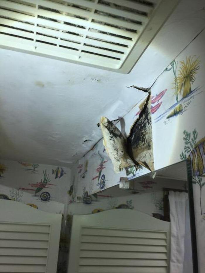 Broadneck Home Inspections, LLC - Annapolis, MD