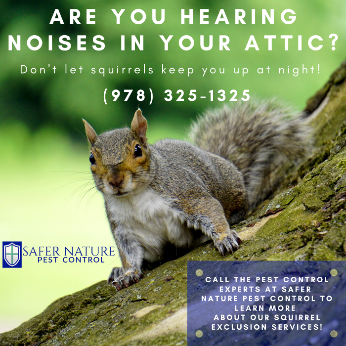 Safer Nature Pest Control - Amesbury, MA